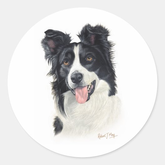 Sticker Rond Bordure Collie (Devant)