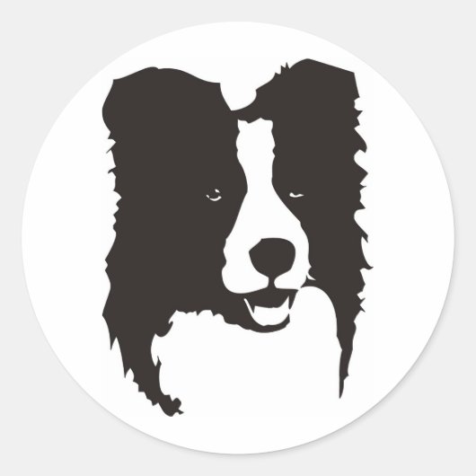 Sticker Rond Bordure Collie (Devant)