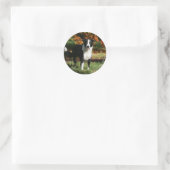 Sticker Rond Bordure Collie Automne Debout (Sac)