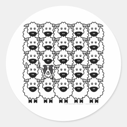 Sticker Rond Bordure Collie dans le mouton (Devant)