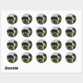 Sticker Rond Bordure Collie Debout (Feuille)