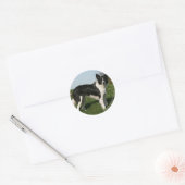 Sticker Rond Bordure Collie Debout (Enveloppe)
