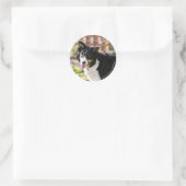 Sticker Rond Bordure Collie Panne 1 (Sac)