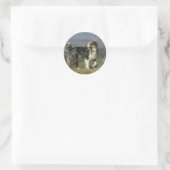 Sticker Rond Bordure Collie Panne 2 (Sac)