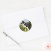 Sticker Rond Bordure Collie Panne debout (Enveloppe)