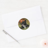 Sticker Rond Bordure Collie Panne S'Étalant (Enveloppe)