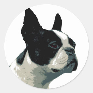 Sticker Rond Boston Terrier
