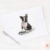 STICKER ROND BOSTON TERRIER (Enveloppe)