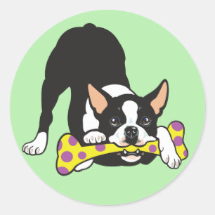 Sticker Rond Boston Terrier. Bonne chance