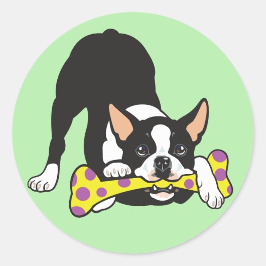 Sticker Rond Boston Terrier. Bonne chance (Devant)