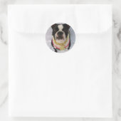Sticker Rond Boston Terrier Rapper (Sac)