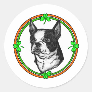 Sticker Rond Boston Terrier St Patrick's Day