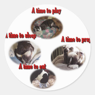 Sticker Rond Boston Terrier : Un moment