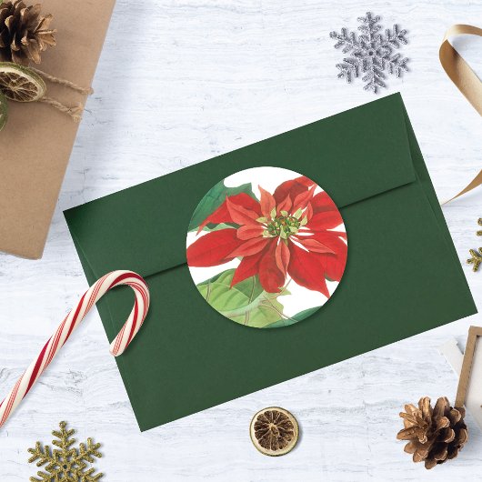 Sticker Rond Botanique de Poinsettia vintage