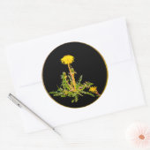 Sticker Rond Botanique en fleur de Dandelion (Enveloppe)