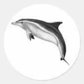 STICKER ROND BOTTLENOSE DOLPHIN (Devant)