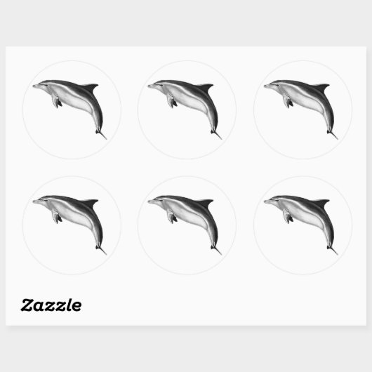 STICKER ROND BOTTLENOSE DOLPHIN (Feuille)