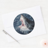 Sticker Rond Bouche de requin élevée ouverte (Enveloppe)