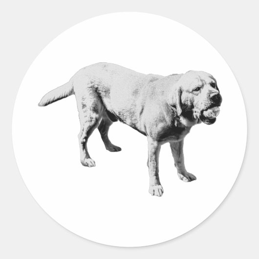 Sticker Rond Boule (Devant)