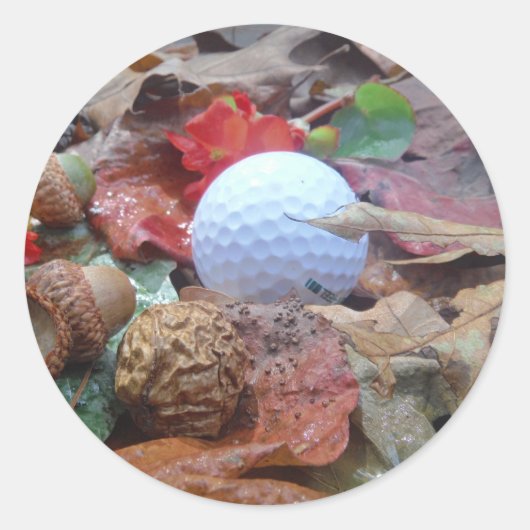 Sticker Rond Boule de golf et feuilles et glands (Devant)