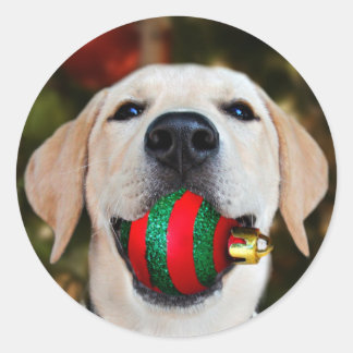 Sticker Rond Boule de Noël du laboratoire jaune