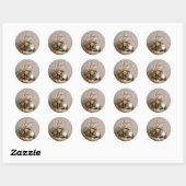 Sticker Rond Boule Disco | Boho Florals | Esthétique (Feuille)