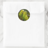 Sticker Rond Bouleau jaune vert mignon sur une branche d'arbre (Sac)