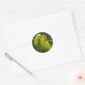 Sticker Rond Bouleau jaune vert mignon sur une branche d'arbre (Enveloppe)
