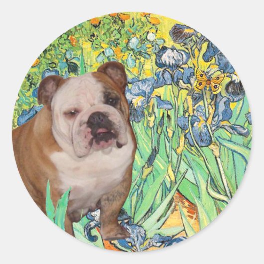 Sticker Rond Bouledogue anglais 1 - Iris (Devant)