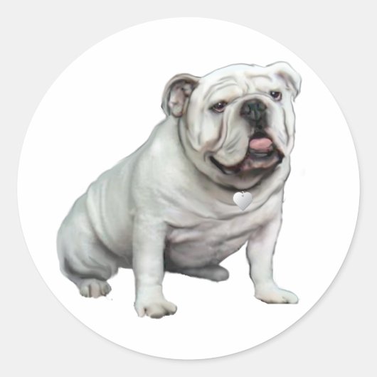 Sticker Rond Bouledogue anglais - Blanc 1 (Devant)