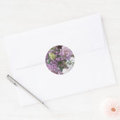 Sticker Rond Bounty du jardin 4 (Enveloppe)