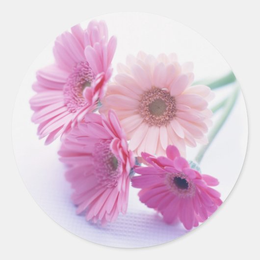 Sticker Rond Bounty du jardin 8 (Devant)