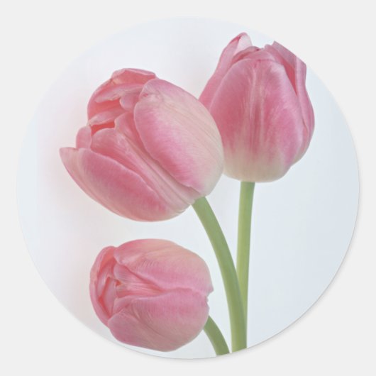 Sticker Rond Bounty du jardin 9 (Devant)