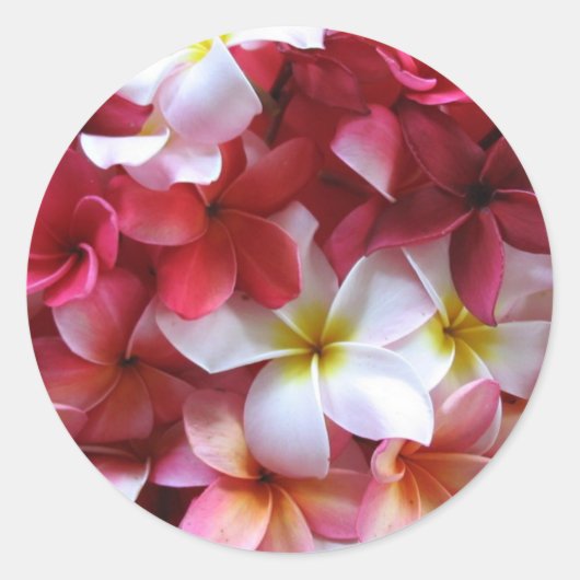 Sticker Rond Bouquet de grappe de fleurs Plumeria (Devant)