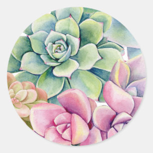 Sticker Rond Bouquet d'été de succulentes à l'aquarelle