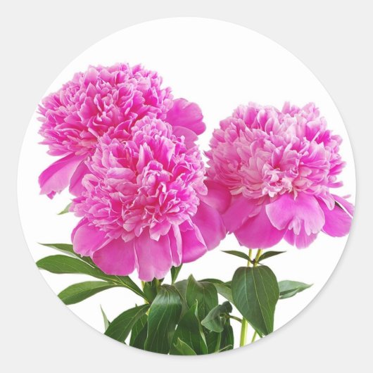 Sticker Rond Bouquet floral rose Fuchsia Peony (Devant)
