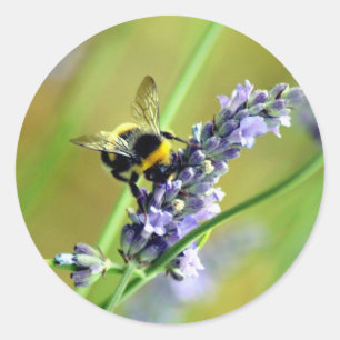 Sticker Rond Bourdon et Lavande