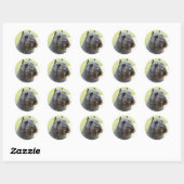 Sticker Rond Bouvier des Flandres (Feuille)