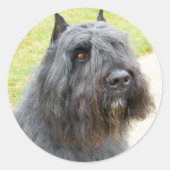 Sticker Rond Bouvier des Flandres (Devant)