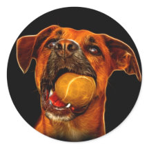 Boxer Dog Art Moderne