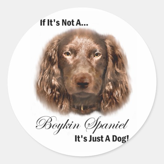Sticker Rond Boykin Spaniel (Devant)