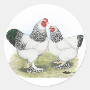 Sticker Rond Brahma : Lumière2