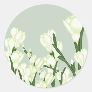Sticker Rond Branche de Freesia blanche.