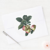 Sticker Rond Branche des pommes rouges (Enveloppe)