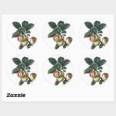 Sticker Rond Branche des pommes rouges (Feuille)