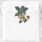 Sticker Rond Branche des pommes rouges (Sac)