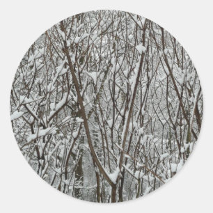 Sticker Rond Branches couvertes de neige Abstraite hivernale