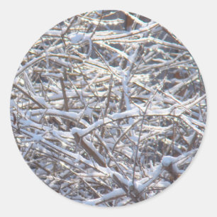 Sticker Rond Branches de glace neige en hiver