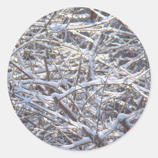 Sticker Rond Branches de glace neige en hiver (Devant)