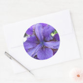 Sticker Rond Brandeis (Enveloppe)